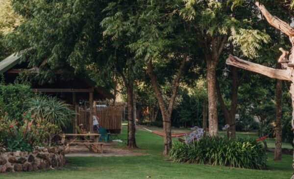 A Magical 2-Night Stay for 2 in a Forest Cabin - Image 9