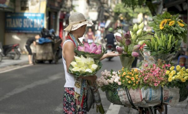 A 10 Day Tour From Hanoi to Ho Chi Minh City in Vietnam - Image 7