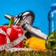 Meal Prep Service in Cape Town