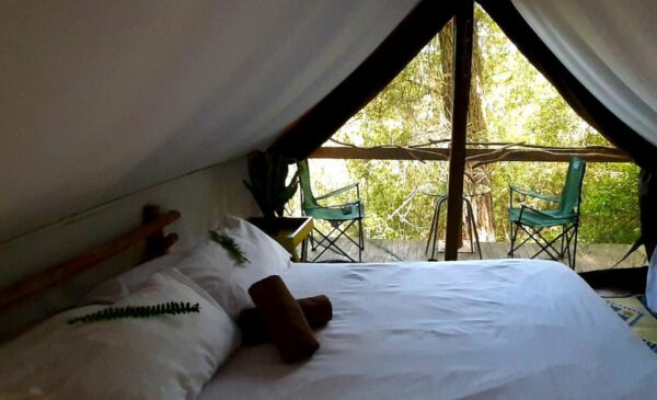An Eco-Friendly Glamping Experience in Knysna - Image 8