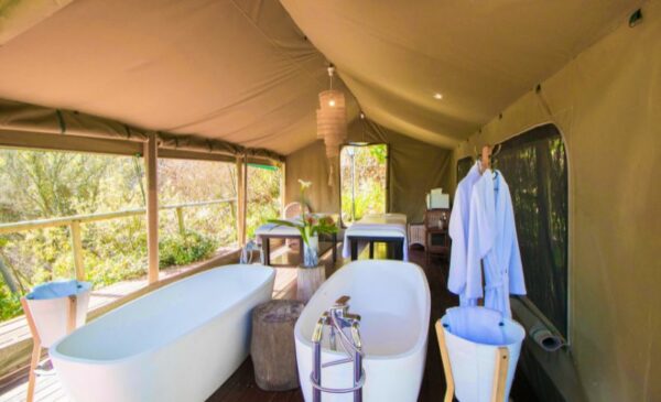 Stay at a Private Nature Reserve in Camps Bay - Image 2