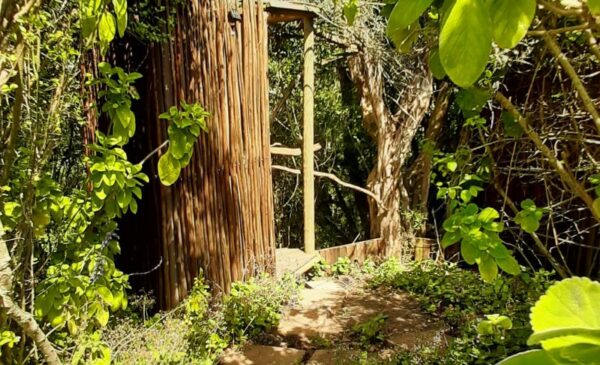 An Eco-Friendly Glamping Experience in Knysna - Image 16