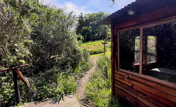 An Eco-Friendly Glamping Experience in Knysna - Image 17