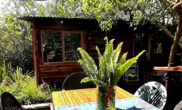 An Eco-Friendly Glamping Experience in Knysna - Image 19