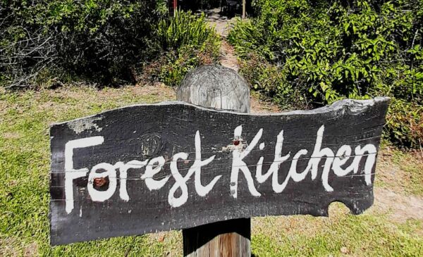 An Eco-Friendly Glamping Experience in Knysna - Image 2