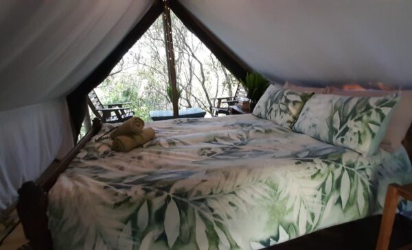 An Eco-Friendly Glamping Experience in Knysna - Image 4