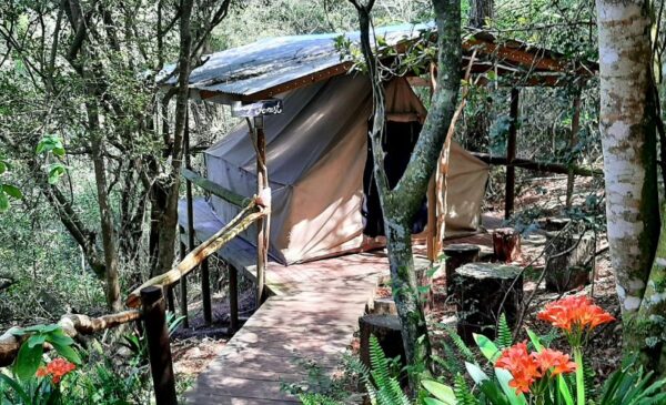 An Eco-Friendly Glamping Experience in Knysna - Image 5