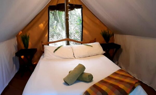 An Eco-Friendly Glamping Experience in Knysna - Image 9