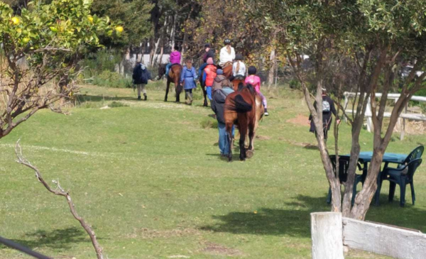 A Horse Riding Experience for 1 at Goedeverwachting Estate - Image 3