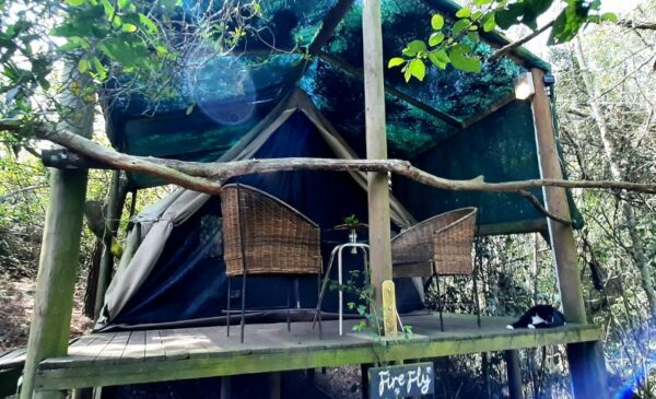 An Eco-Friendly Glamping Experience in Knysna - Image 6