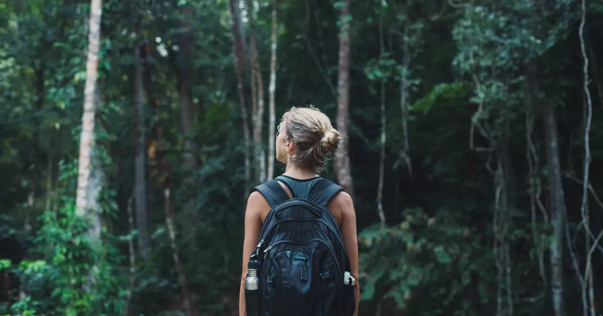 free things to do in cape town new
