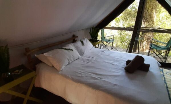 An Eco-Friendly Glamping Experience in Knysna - Image 7