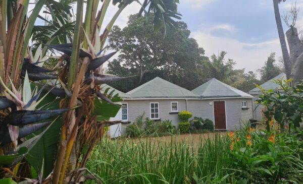 Detoxify Yourself at this Wellness Retreat in Durban - Image 3