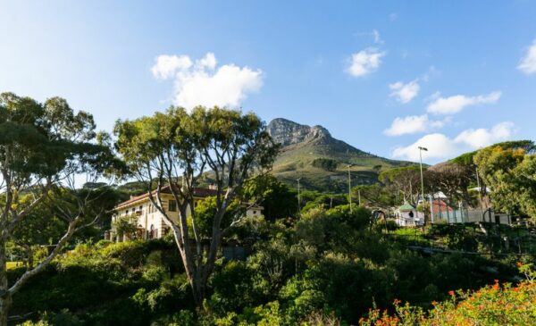 Stay at a Private Nature Reserve in Camps Bay - Image 3