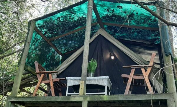 An Eco-Friendly Glamping Experience in Knysna - Image 10