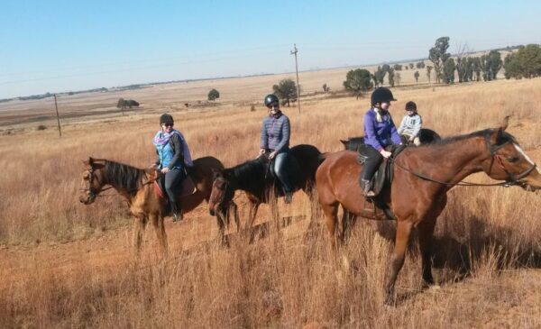 A Horse Riding Experience for 2 People - Image 4
