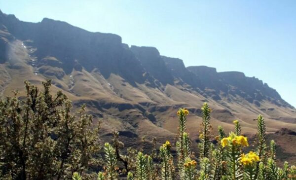 A 2-Night Midweek Stay in the Drakensberg - Image 4