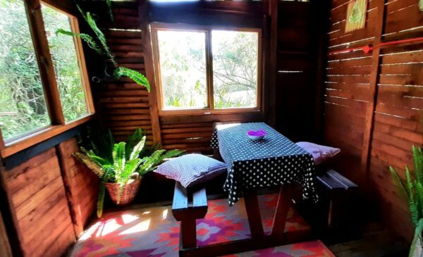 An Eco-Friendly Glamping Experience in Knysna - Image 12