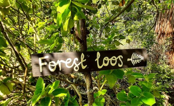 An Eco-Friendly Glamping Experience in Knysna - Image 13