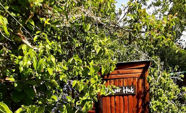 An Eco-Friendly Glamping Experience in Knysna - Image 15