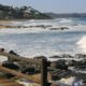 The 20 Best Things to Do in Gordon’s Bay