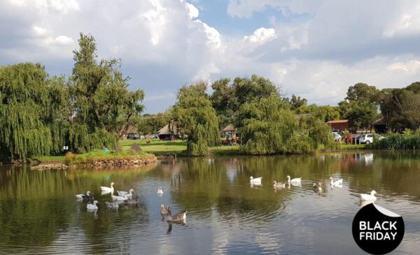 An outdoor Activity Pass for 2 in Johannesburg