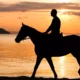 15 Great Things to Do in Ceres