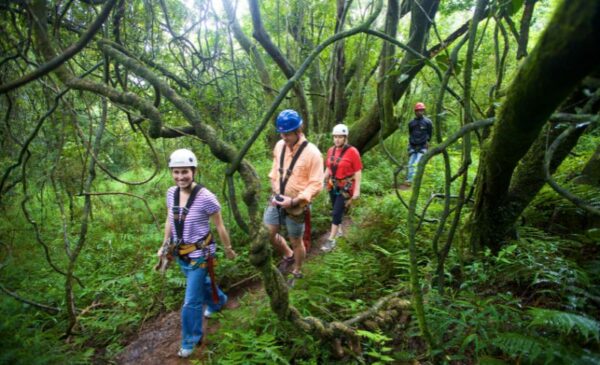A 2-Hour Zipline Tour for 1 Through the Karkloof Forest - Image 9