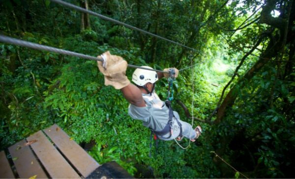 A 2-Hour Zipline Tour for 1 Through the Karkloof Forest - Image 7