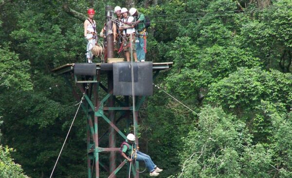 A 2-Hour Zipline Tour for 1 Through the Karkloof Forest - Image 5