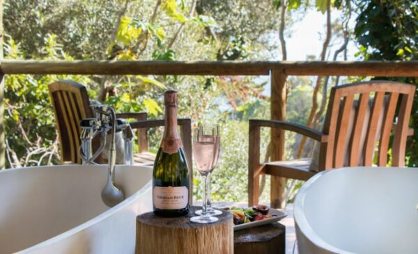 A 2-Hour Pinotage Grape Massage and Nature Bath in Camps Bay - Image 5