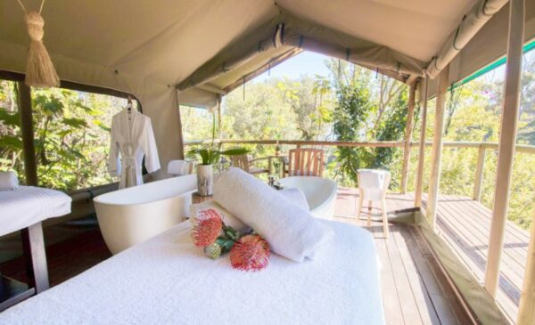 A 2-Hour Pinotage Grape Massage and Nature Bath in Camps Bay - Image 2