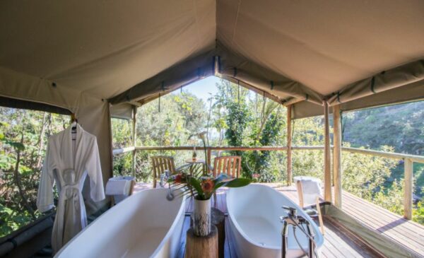 A 2-Hour Pinotage Grape Massage and Nature Bath in Camps Bay - Image 3