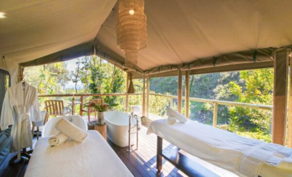 A 2-Hour Pinotage Grape Massage and Nature Bath in Camps Bay - Image 4