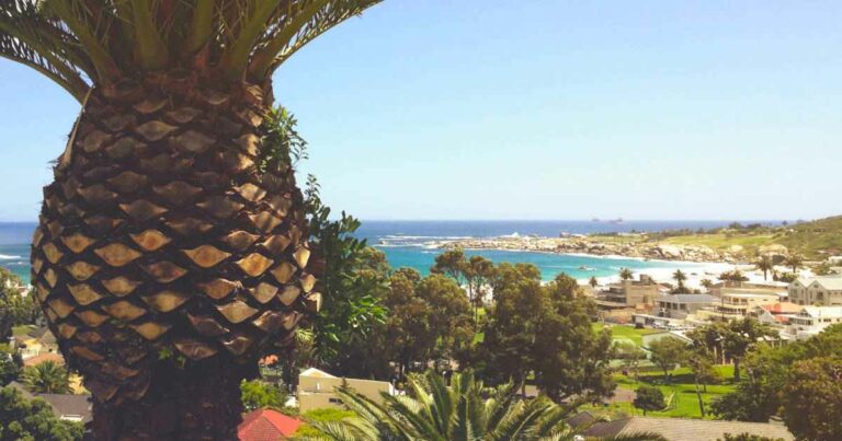 15 Things to Do in Camps Bay