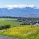 The 15 Best Things to do in Hartbeespoort