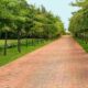 The 15 Ultimate Things to Do in Durbanville