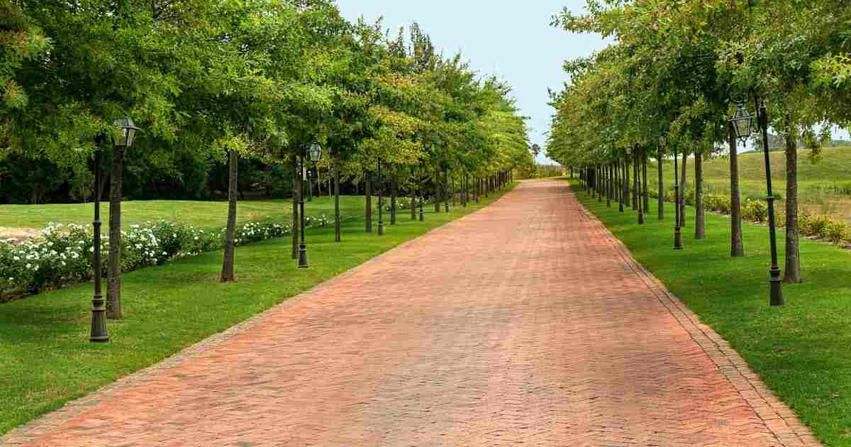 things to do in franschhoek - main image