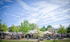 A Weekend Pass to Camp at A Music Festival in Barrydale