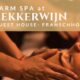 Wellness in the Winelands