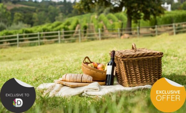 A Picnic and Spa Treatments for 2