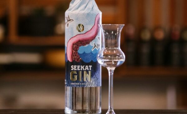 A Gin Tasting for 2 in Langebaan - Image 3