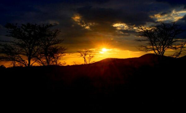 A Family Holiday in Limpopo - Image 4