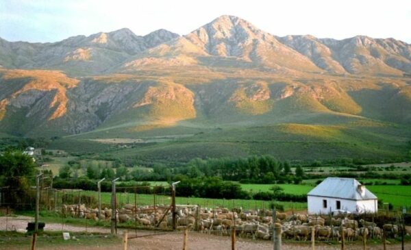 A 1-Night Stay in Oudtshoorn for 2 - Image 4