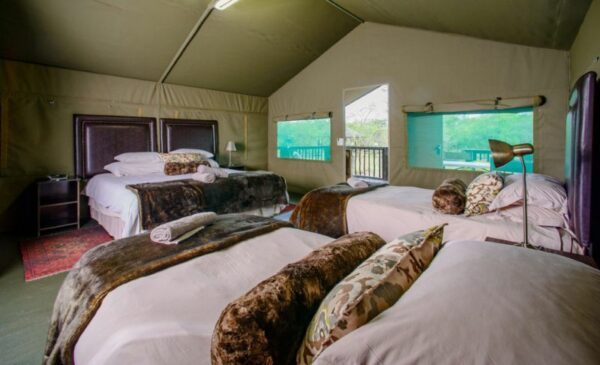 A Family Holiday in Limpopo - Image 5