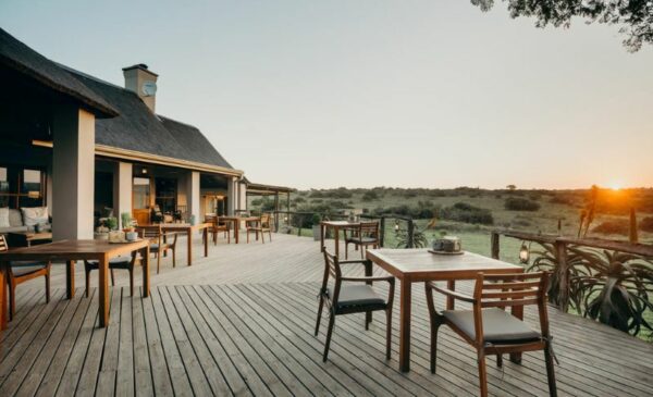A Luxury Safari Lodge Visit with The Family - Image 3