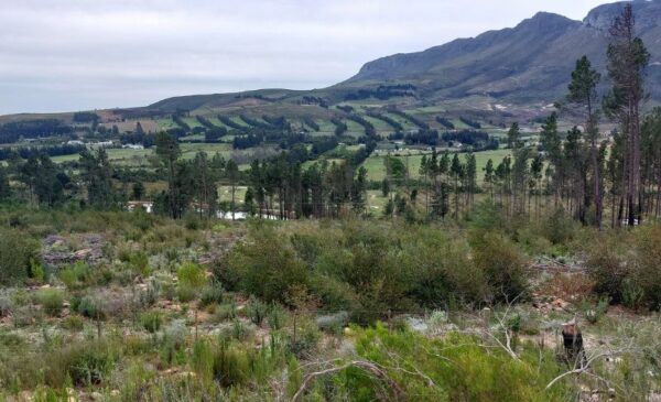 A 2-Hour Quad Biking Experience for 1 Person in Paarl - Image 4