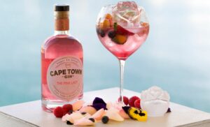 gin tasting cape town