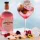 gin tasting cape town
