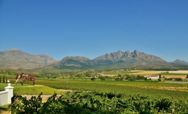 Take a 2-night Break in Wine Nirvana for 2 - Image 2